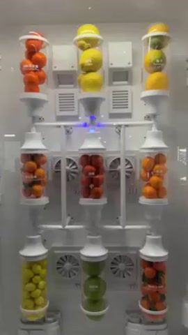 The video shows a fruit vending machine with three columns of fruit.  The first column has mandarin oranges in three clear containers stacked vertically. The second column has lemons in three clear containers stacked vertically. The third column has oranges and pomelos in three clear containers stacked vertically. Each clear container has air vents to keep the fruit fresh. The machine has a white exterior. The background is blurry but seems to be inside a shop.