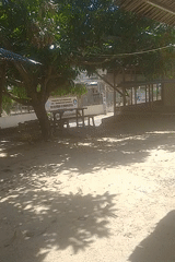 Rural morning scenes captured: chickens, buildings, outdoor furniture