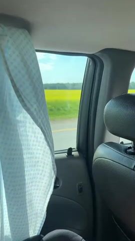 From inside a vehicle, the camera focuses on the passing scenery visible through a window partially obscured by a light blue, checkered curtain. A field of bright yellow flowers stretches out to the horizon, where a line of trees is visible under a clear blue sky. The camera briefly captures the wheel and undercarriage of a large, possibly construction-related, truck as it passes.