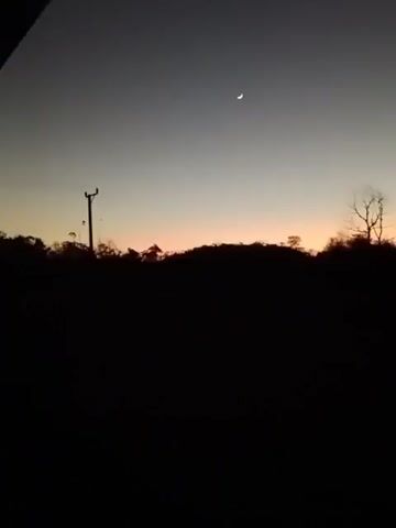This is a video of a twilight scene. The sky is dark with a sliver of the moon visible and a hint of orange from the sunset peeking over a dark, silhouetted tree line. The foreground is almost entirely black, obscuring any details of the ground or vegetation. A single, thin utility pole with wires is visible on the left side of the frame. The overall impression is one of approaching night in a rural or natural setting.