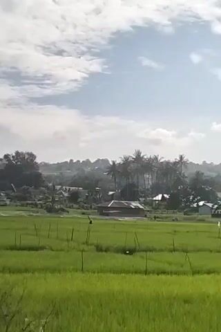 The video captures a rural landscape with a bright sky and some scattered clouds. In the foreground, there's a vibrant green rice field with thin vertical poles spaced out across it. Beyond the rice field, there are several small houses and structures, some with corrugated metal roofs, nestled among trees and vegetation. A prominent cell tower stands tall in the middle distance, and rolling hills form the backdrop. The overall impression is one of a serene, agricultural setting under a daytime sky.