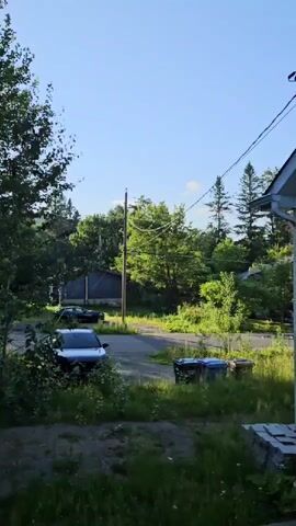 A brief, panoramic view of a suburban street with houses and trees. Two cars are parked on the side of the road. There are two blue trash cans and one dark green trash can near the sidewalk. The sun is shining brightly, casting shadows through the trees.