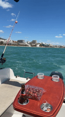 Boating excursion with helicopter sighting off Torremolinos coast