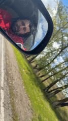 Driver captured in side mirror on tree-lined Russian road