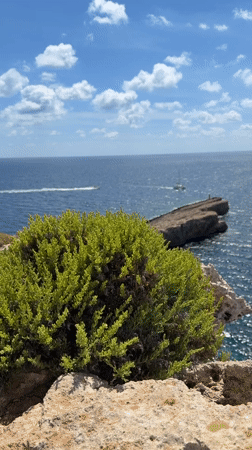 Coastal scenes documented in Għajnsielem Malta during sunny afternoon