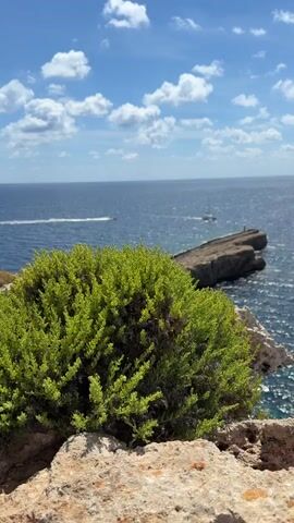 The video shows a rocky cliffside viewpoint overlooking the sea on a sunny day with a few puffy clouds in a bright blue sky. In the foreground, a green bush sits atop a rock formation. In the midground, the frame extends to a thin, rocky peninsula jutting out into the clear blue water. A small sailboat is near the end of the land, and a speeding boat is seen farther out, leaving a white trail on the water's surface. There appear to be people at the end of the peninsula. The wind is blowing audibly.