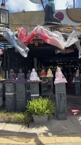 The video captures a sunny daytime view of the exterior of a shop in Matara, Sri Lanka, specializing in religious statues and decorations. Numerous Buddha statues are prominently displayed on pedestals outside the shop, varying in size and color, including white, grey, yellow, and pink, some still wrapped in protective plastic. Other statues, such as a lion, a goddess-like figure, and a Ganesha figure, are visible on the building's facade and surrounding the entrance. A statue of a woman in traditional attire stands on the pavement next to a potted fern plant.

Above the entrance, an array of paper lanterns in red, white, blue, and orange are strung, many covered in clear plastic. Buddhist prayer flags also hang, adding to the colorful display. The shop's main sign features large Sinhala script. Several phone numbers are displayed, including "077 356 72", "0417 072 72", and "077 607 72 72", along with smaller Sinhala text below them. The scene depicts a vibrant retail environment under a clear blue sky.