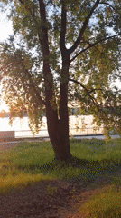 Woman enjoys lakeside sunset in Chaikovsky, Russia