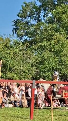 A jousting tournament is underway with several knights on horseback participating. The knights are dressed in full armor and are mounted on horses adorned with colorful coverings. Spectators are gathered on the grassy field, seated behind a red barrier, watching the event. The background features lush green trees and a clear blue sky. The overall atmosphere appears to be festive, possibly at a medieval fair or historical reenactment.