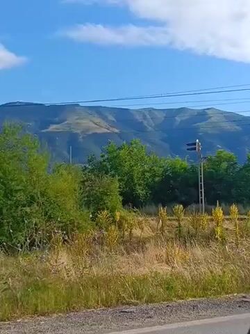 A video pans across a natural landscape. The foreground is filled with dry, golden grasses and some scattered purple wildflowers. Behind the grasses, several green trees and bushes are visible. In the middle ground, a tall, thin pole with a railway signal attached stands on the right side. The signal has two lights, one above the other, and appears to be white and black with a yellow top. Further in the background, a range of large mountains stretches across the horizon. The mountains are covered in green vegetation and some areas appear to be barren or scarred. The sky above is a clear, bright blue with a few scattered white clouds. The video appears to be filmed from a moving vehicle, as evidenced by the slight sway and movement of the scene.