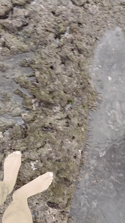 Families explore tidal pools at North Kuta beach