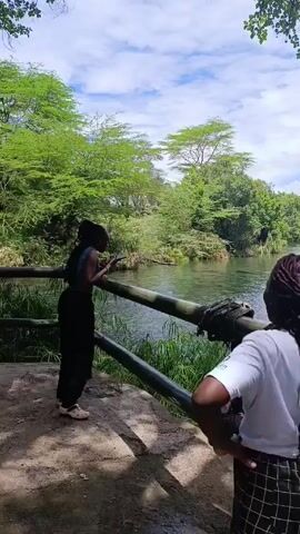 The video shows a calm river surrounded by lush green vegetation and trees under a sky with scattered clouds. Two individuals are visible at the beginning of the video, standing near a wooden railing overlooking the water. One of the individuals has dark hair styled in long dreadlocks. The camera then pans to provide a clear view of the river and its surroundings. The environment is peaceful and seemingly undisturbed.