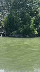Venezuelan waterways documented during afternoon boat journey near La Restinga