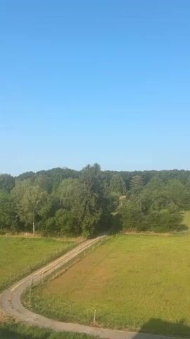 A drone shot pans across a bright, sunny rural landscape. The sky is a clear, vibrant blue. Below the sky is a dense line of green trees forming a forest edge. In the foreground, a grassy field is bathed in sunlight, with a dirt path curving through it. A wire fence runs along the edge of the field. Another field, also green and sunny, is to the left, with a fence and a portion of a grey surface, possibly a road or path, visible at the bottom. The overall impression is one of peaceful, natural scenery.