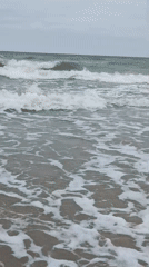 Tourist captures coastal town scenes in Zelenogradsk, Russia