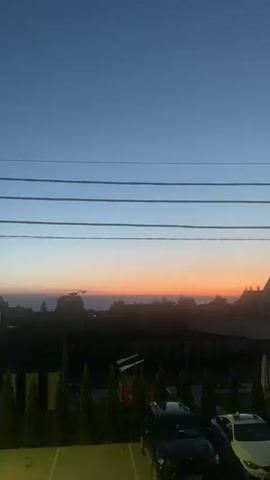 The video shows an outdoor scene during twilight, likely just after sunset, with the sky transitioning from a deep blue to soft oranges and pinks near the horizon. The setting appears to be a residential area, possibly a backyard or courtyard, with several houses and fences visible in the background. In the foreground, there's a parking area with two cars: a dark-colored SUV and a lighter-colored compact car parked to its left. A row of tall, dark green coniferous trees lines the edge of the parking area, separating it from a darker fenced-off section of the property. Several utility wires are strung horizontally across the upper portion of the frame. The lighting suggests it's dusk, and the absence of strong sunlight indicates a calm, perhaps serene atmosphere. There are no people visible in the frame. The context of Novi Petrivtsi, Ukraine, places this scene in a rural or suburban European environment. There is no visible text in the video.