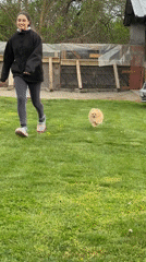 Woman chases Pomeranian dog across backyard in Bulgarian village