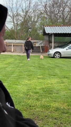 A woman in a black jacket and gray pants runs toward the camera, chasing a small, fluffy, tan dog in a grassy backyard. The dog runs towards the camera. A person wearing a black jacket and standing behind the camera laughs. Behind the woman, there is a building with a silver car parked next to it and a partially constructed wooden fence. The video then focuses on the black jacket of the person behind the camera and follows the dog as it runs across the yard to a concrete bench and some bushes.