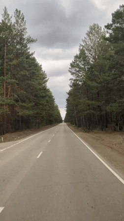 Tree-lined road captured under gray skies in Sosnovka