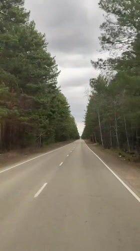 Tree-lined road captured under gray skies in Sosnovka