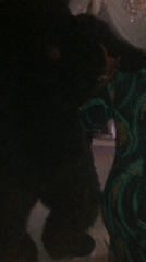 Jos nightlife and street scenes captured by witnesses