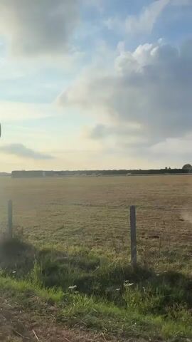 A video captures a view of a rural landscape under a partly cloudy sky. The foreground shows a grassy verge and a paved road. Beyond the verge, a field of dry, light brown grass stretches into the distance. A few fence posts are visible in the field. In the middle ground, a line of dark green trees forms a hedge or windbreak. Scattered within the field, several cows are grazing. In the far distance, the landscape appears flat and opens up to more fields and what might be buildings or structures, some covered in white sheeting, possibly agricultural equipment or storage. The sun is low in the sky, casting a warm light and long shadows, suggesting it is either early morning or late afternoon.