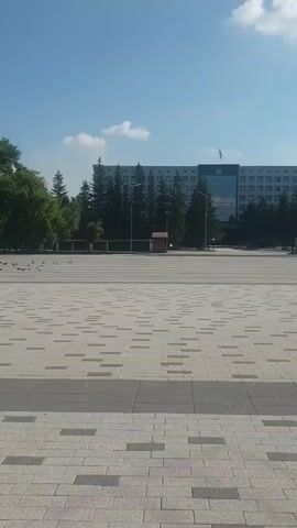 The video is a vertical shot of an outdoor public space on a sunny day with a clear blue sky. The foreground is paved with light gray and dark gray square tiles arranged in a repeating pattern. In the middle ground, there is a wide, open paved area. To the left, a flock of birds is scattered across the pavement. Further back, there is a line of trees and several buildings. The largest building, in the background, is multi-story with a white facade and many windows, topped by a flagpole with a flag. To the right, a smaller structure resembling a kiosk or small building stands among the trees. In the far right, there is a large, open structure supported by multiple columns, with decorative blue and yellow elements. The camera pans slightly to the right over the course of the video, showing more of the paved area and the trees. A single person is briefly visible running across the paved area in the middle ground at the beginning of the video.