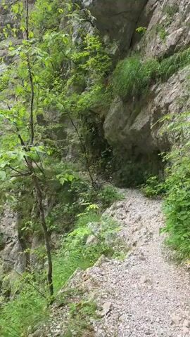The video begins with a close-up of a rocky, gravelly path lined with vegetation, including trees and grasses, hugging the side of a rock face. The camera pans up and out to reveal a scenic canyon with steep, rocky cliffs on either side, densely covered in green trees and vegetation. A clear, turquoise river flows through the rocky canyon floor. The video presents a lush, natural landscape with a focus on the combination of rocky terrain, vibrant greenery, and a pristine river.