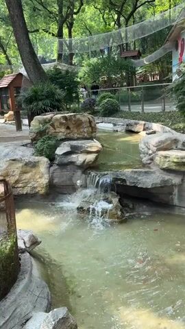 The camera shows a small artificial waterfall in a park-like setting, with a murky green pool at its base. The waterfall is constructed of light-colored rocks. Behind the waterfall is a walkway with a glass barrier, and several people are visible standing and walking along it. Trees surround the area, and a mesh net is strung above. There is a small wooden structure to the left.