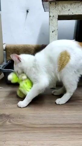 A white cat with orange markings is carrying a bright green plush toy rabbit in its mouth. The cat is standing on a wooden floor, with a gray litter box visible in the background. The cat looks directly at the camera while holding the toy. A white table with a shelf underneath is behind the cat.