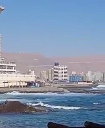 Seagulls gather on Iquique waterfront during sunny evening