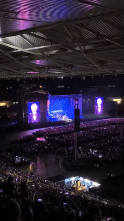 Packed outdoor concert lights up a Vienna summer night