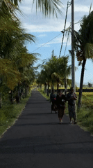 Tropical scenes documented in Selemadeg Timur, Bali morning