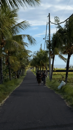 Tropical scenes documented in Selemadeg Timur, Bali morning