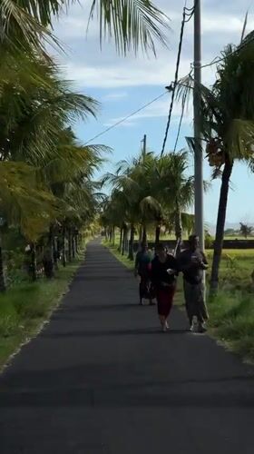 Tropical scenes documented in Selemadeg Timur, Bali morning
