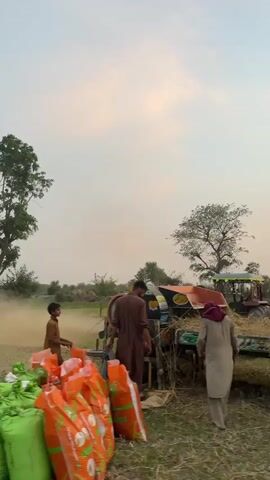 The video shows a rural scene with several people working around a tractor and a pile of large bags. There's a young boy in a brown outfit and two men wearing traditional clothing. A tractor is visible, appearing to be involved in some form of agricultural processing or harvesting as dust swirls around it. Stacks of bright orange and green bags are prominent in the foreground. Trees and open fields are visible in the background. The sky is overcast.