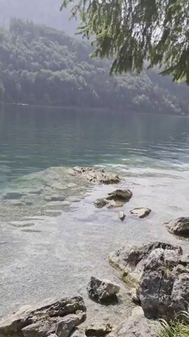 The video shows a body of water with rocks in the foreground. The water is clear, and you can see the bottom. The rocks are various sizes and shapes, and some are covered in moss. The background is a forest with mountains. The sun is shining, and the sky is partly cloudy. The video is shot from a low angle, looking out over the water.