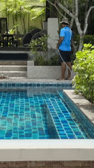 Morning domestic scenes captured at Ko Samui residence