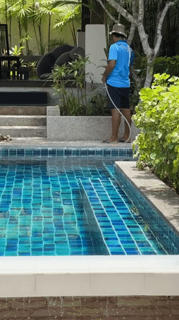 Morning domestic scenes captured at Ko Samui residence