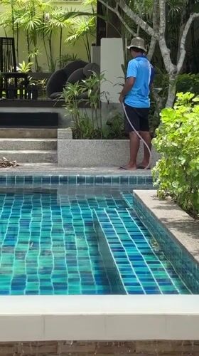 Morning domestic scenes captured at Ko Samui residence