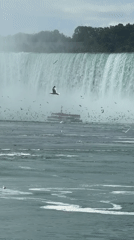 Tour boat approaches Niagara Falls amid mist and seagulls
