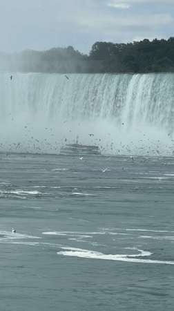 Tour boat approaches Niagara Falls amid mist and seagulls