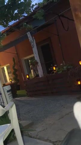 The video shows an outdoor scene at dusk. In the foreground, a white plastic chair is partially visible on the left. A gravel path leads towards a building with an orange-colored wall. In front of the building is a wooden planter box with some plants and two small, orange lights. There is also a spiraling green plant to the left of the planter. A thin white pole stands vertically to the left of the planter. Overhanging the scene are branches and leaves from what appears to be a grapevine, supported by a metal structure. In the background, a tall, slender tree with dark foliage stands against a cloudy sky. The lighting suggests it is transitioning from daylight to night.