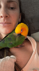 Woman spotted with colorful bird on shoulder in Khimki
