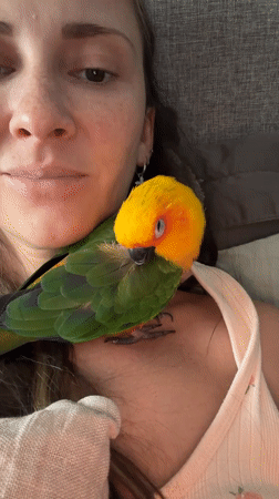 Woman spotted with colorful bird on shoulder in Khimki
