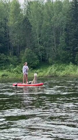 A young woman stands on a red paddleboard in a body of water, holding a paddle. Beside her sits a large, light-colored dog. The paddleboard is oriented horizontally in the frame. Behind them, a lush green forest stretches across the background, with a line of trees meeting the water's edge. The water's surface shows ripples and reflections. The sky is overcast. The woman is wearing a white top and shorts. The dog is facing the camera.