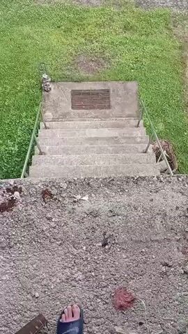 The video begins looking down a set of concrete stairs from a high vantage point. Grass and a gravel path are visible on either side of the stairs. At the bottom of the stairs, a small, brown, wooden dog house is visible in a grassy field. Further in the distance, a small pond reflects the sky and surrounding trees. The pond is bordered by lush green grass and a dense forest. The camera pans to the right, showing more of the pond and the trees beyond. The video then pans towards a brick building, showing a section of a car parked in front of it. The camera then moves to the interior of a room, the view is blurry and dark.