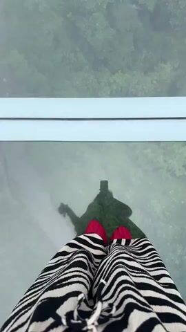 The video shows a person's legs, clad in zebra-patterned pants and red shoes, standing on a glass floor. Below the glass floor, a forested landscape is visible, shrouded in mist. The camera then pans up to reveal a group of people walking across a glass-bottomed suspension bridge. The bridge is surrounded by lush green trees and mountains.