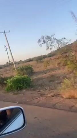 The video shows a car driving on a paved road through a rural landscape with sparse vegetation. On the right side of the road, the terrain slopes upward, covered in dry grasses, shrubs, and a few small trees. Power lines run parallel to the road. The sky is clear and blue. The car's side mirror is visible in the lower left corner of the frame.