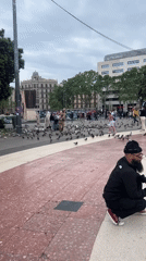 Everyday Barcelona moments captured across city plazas and streets